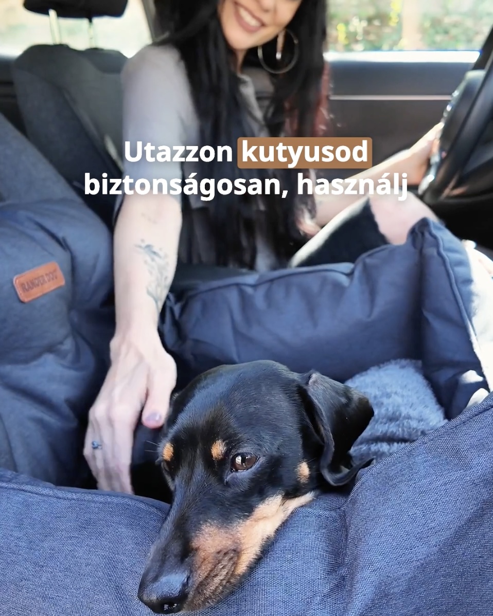 JACKSON kutya autósülés